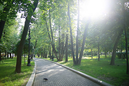 夏季公园景观季节景观图片