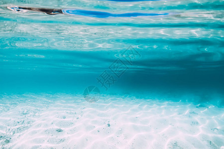 夏威夷水下有白色沙底的蓝色海洋图片
