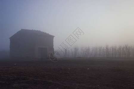 雾蒙的早晨在有果树的小屋里日出图片