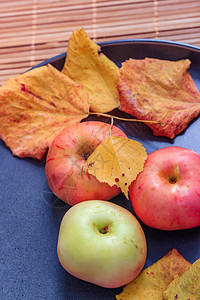 用苹果板秋季布局水果苹秋天的图片灰色陶瓷板图片