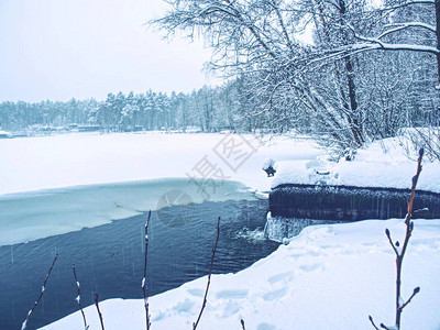 有白雪覆盖的树木的未结冰的冬季湖图片