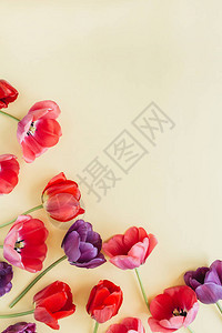 淘宝喜庆首页花朵的成份与多彩的郁金香花相伴着面粉背景Floorist博客首页Florren背景