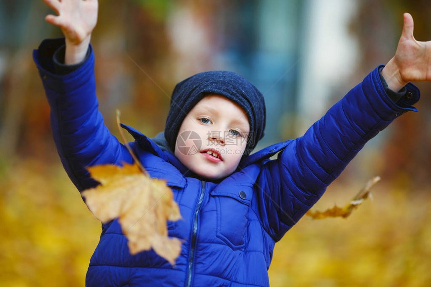 秋天在户外快乐美丽小男孩的画像孩子拿着黄色的枫叶孩子吐出秋图片