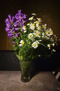 一束野花和瓶里的雏菊图片
