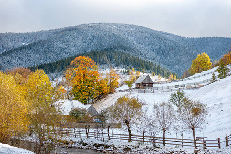 山中第一雪和秋树的风景图片
