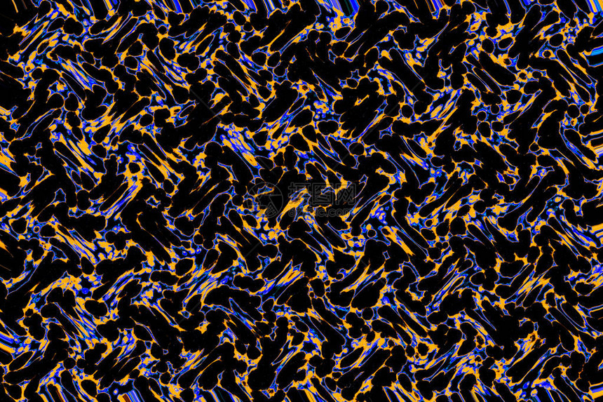 细菌胞的形状共角bacilli图片