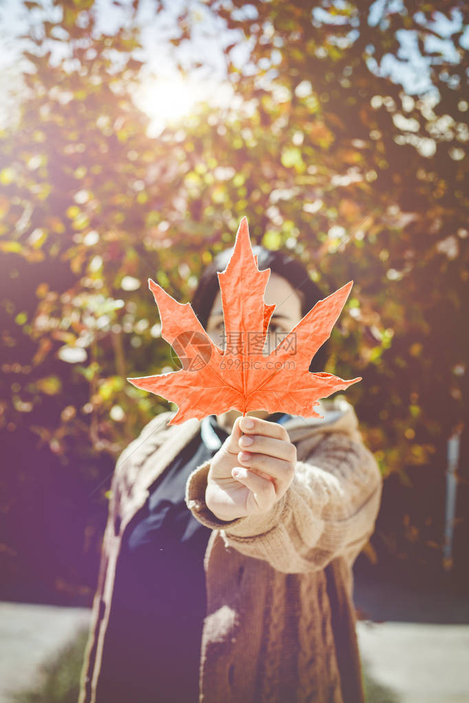 秋季的概念一个美丽的中东女人拿着一片黄色的秋叶年轻女用秋天的树叶遮住她的脸秋天或秋天的女人在户外晴图片