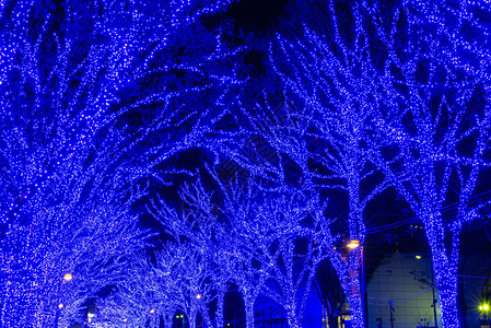 涩谷蓝洞冬季灯饰节图片