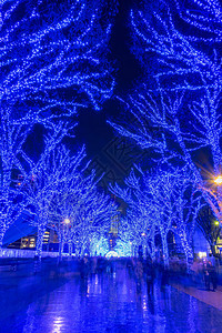 独木涩谷蓝洞冬季灯饰节背景