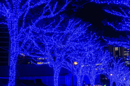 涩谷蓝洞冬季灯饰节图片