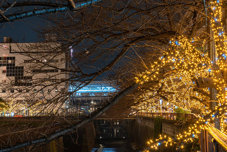 目黑川冬季灯饰节美丽的景色热门旅游景点度假旅游目的地日本东京市著名的图片