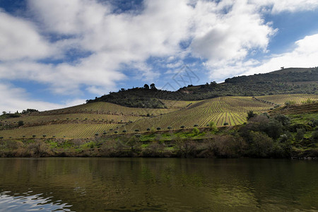 葡萄牙平豪村附近有梯田葡萄园的杜罗河和谷地景高清图片