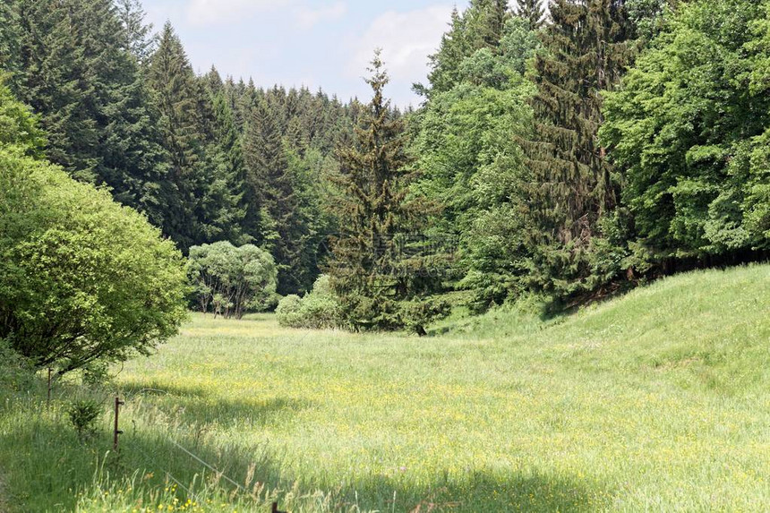 在德国的教科文组织生物圈保护区图林根森林自然公园的一个部分图片