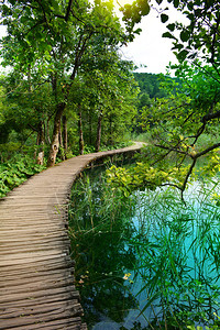 森林中的瀑布克罗地亚国图片