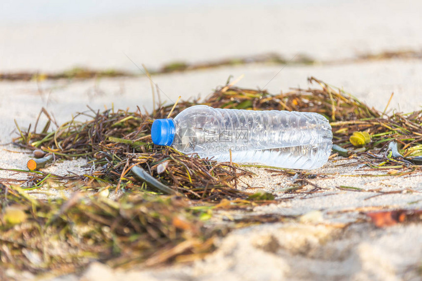 装盖的塑料瓶被冲到沙滩图片