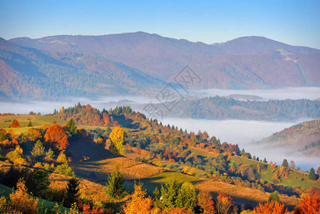 清晨阳光下美丽的秋天山脉风景图片