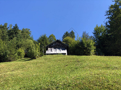 瑞士阿尔卑斯山斜坡上的传统建筑和农舍图片