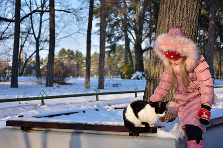 冬天的小女孩和猫图片