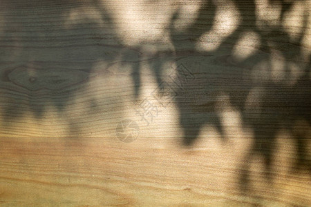 蓝色的木板天然木质料树图片
