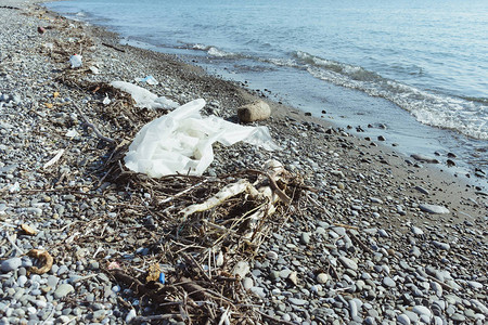 俄罗斯索契黑海肮脏的沙滩上垃圾和垃圾图片