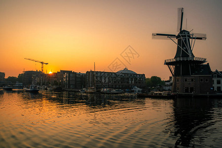 夏季在荷兰阿姆斯特丹的风图片
