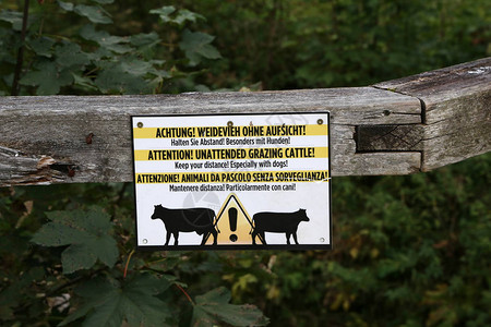 标志注意无人看守的牧牛保持距离图片