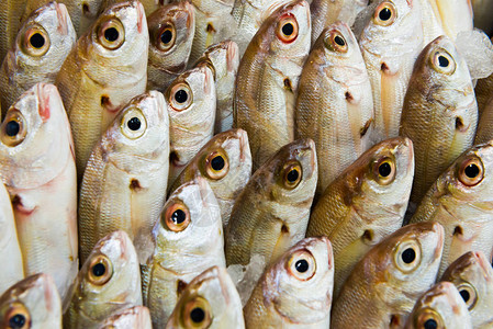 新鲜鱼在海产食品市场上的堆放淡水鱼可图片