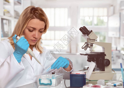 年轻的女技术或科学家将液体样本装入测试管图片
