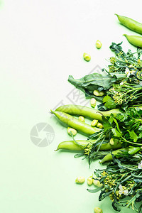 绿色蔬菜和草药在糊面背景上单色健康图片
