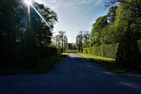 德国汉诺威海伦豪森花园的小巷在阳光下图片