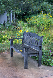 湿木制公园长椅在图片