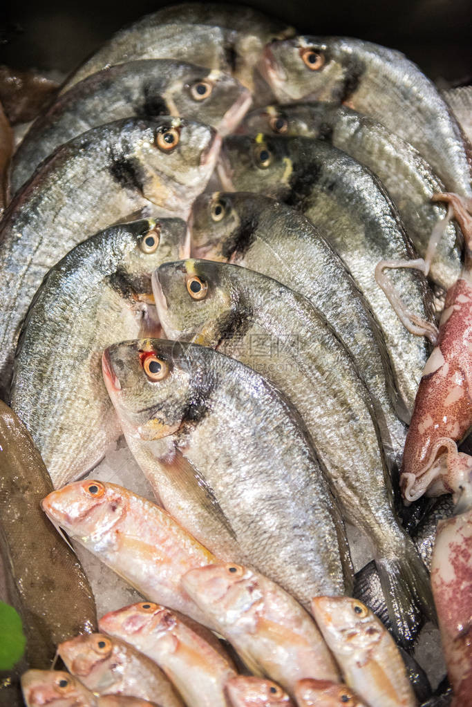 鱼市冰面上的海产食物冰面上图片