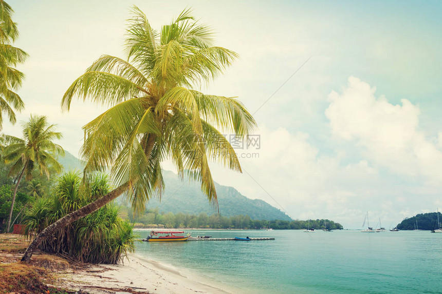 热带海滩有棕榈和明沙暑假和旅图片