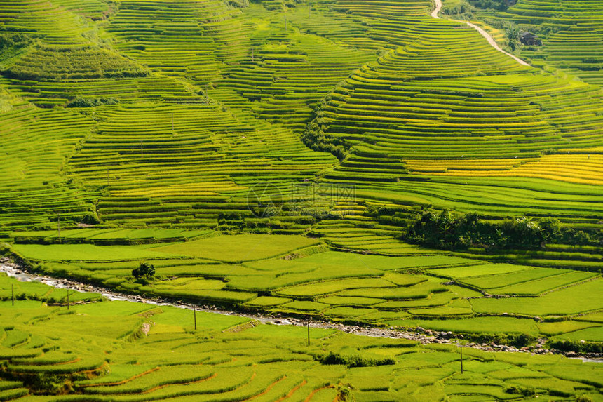 越南亚洲日落时分的穆仓柴延白山丘谷的稻田梯农村或农村地区的绿色农田的空中俯视图图片