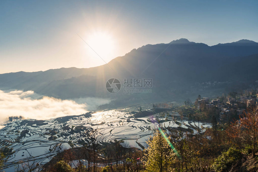 元阳的田阳光明图片