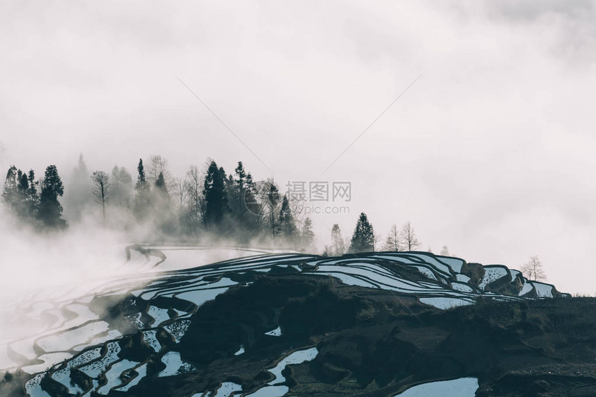 圆阳的田充满雾图片