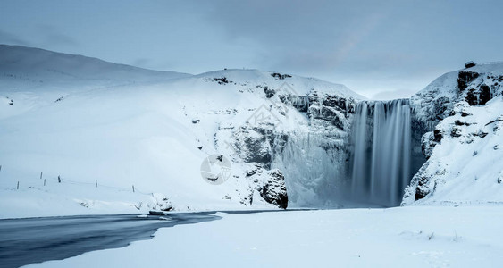 冰岛冬季Skog图片
