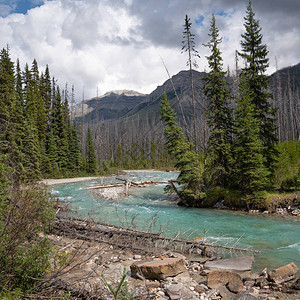 加拿大不列颠哥伦比亚省Kootenay公园内平静河流景图片