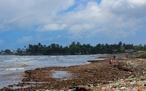 妇女从海上冲浪带来的垃圾堆里收集塑料制背景图片