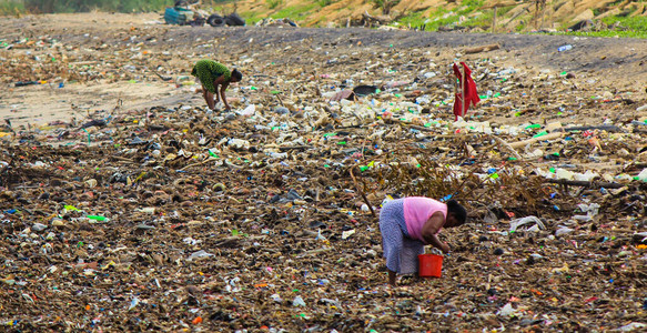 从Colombo附近的Srilankan海滩垃圾堆垃圾场收图片