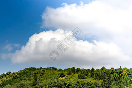 蓝色多云的天空和夏天背景中的绿色森林图片