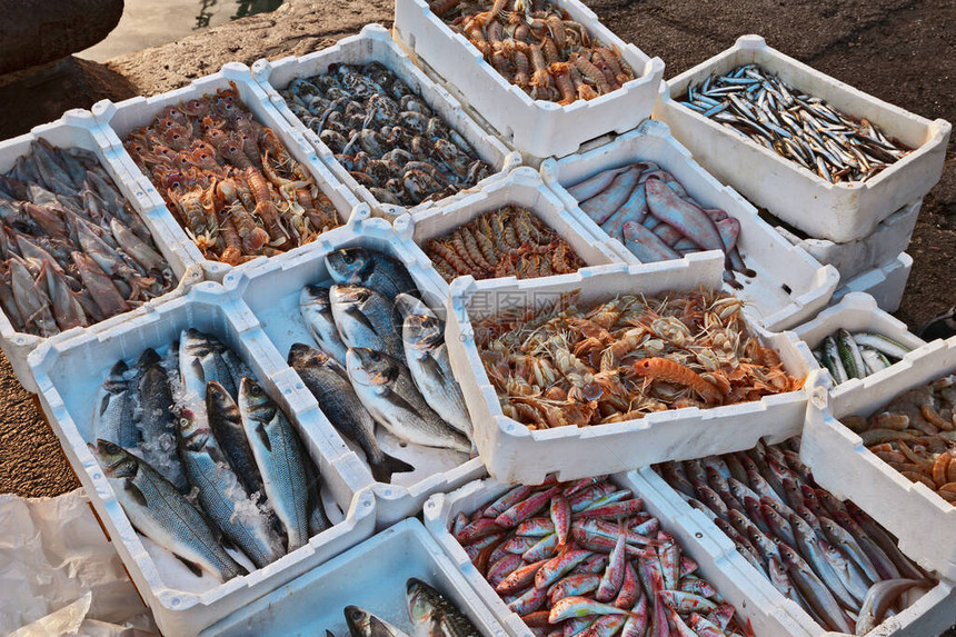 亚得里亚海渔业港码头上一箱新鲜鱼图片
