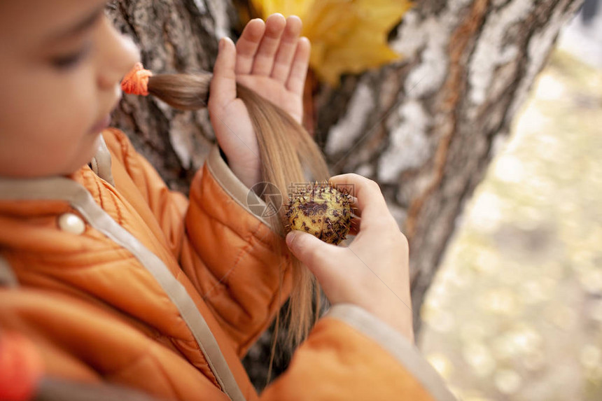 可爱的女学生正在用真正的栗子有机刷子自然美貌秋天户外肖像图片