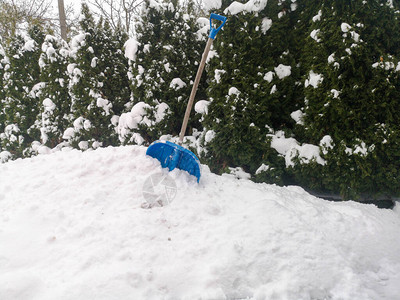 在蓝色的雪堆中铲雪铲在雪地里的特写除雪积雪大量降图片