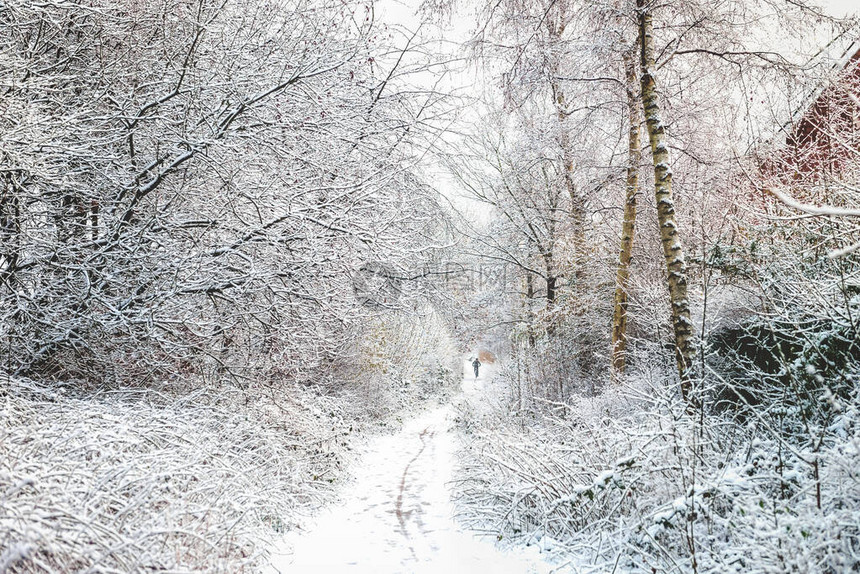 在英国格兰下雪图片