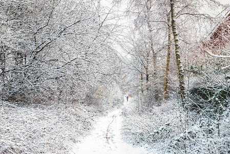 在英国格兰下雪图片