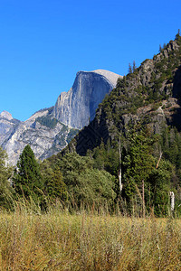 有多少登山者爬上Yosemite图片