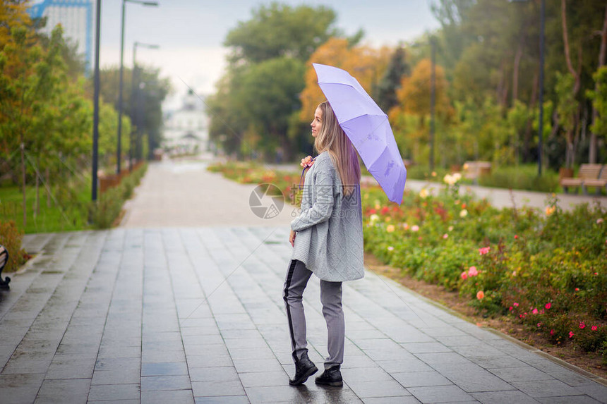 穿着灰色长裤的女士带着一把Lilac雨伞在雨季图片