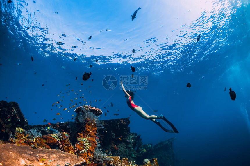 自由潜水员女孩在沉船的水下游泳图片