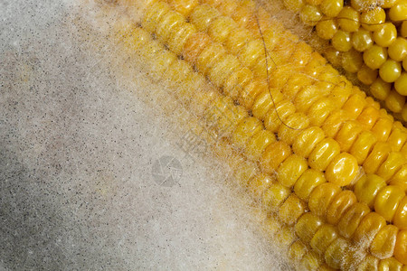 盘子里发霉的玉米图片